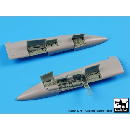 Black Dog F-14 A Electronics for Academy