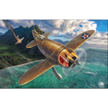 Dora Wings Granville P-45B Bee Killer makett