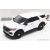 Greenlight Ford UTILITY POLICE INTERCEPTOR 2022