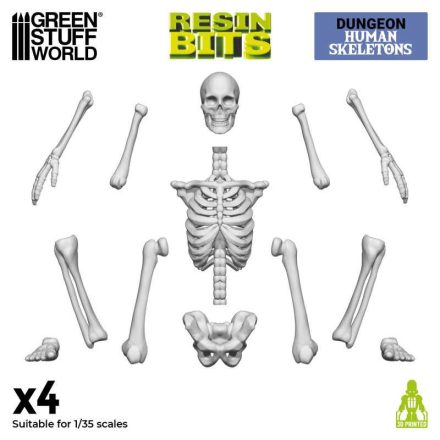 Green Stuff World 3D printed set - Human Skeletons makett