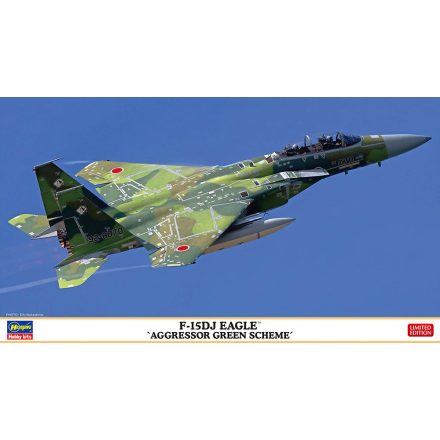 Hasegawa McDonnell Douglas F-15 DJ Eagle - 'Aggressor Green Scheme' makett