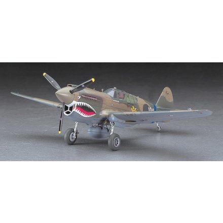 Hasegawa P-40E Warhawk makett