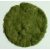 Model Scene Grass-Flock 2 mm - Early Summer 50g (statikus fű)