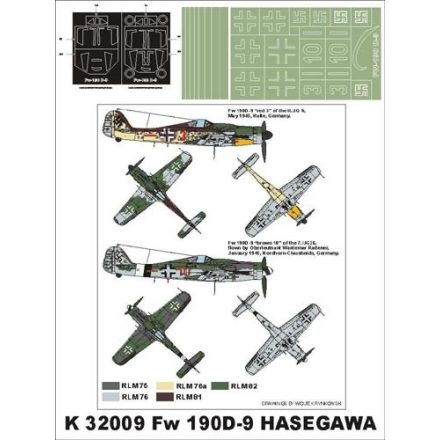 Montex Fw 190 D-9 (Hasegawa) maszkoló