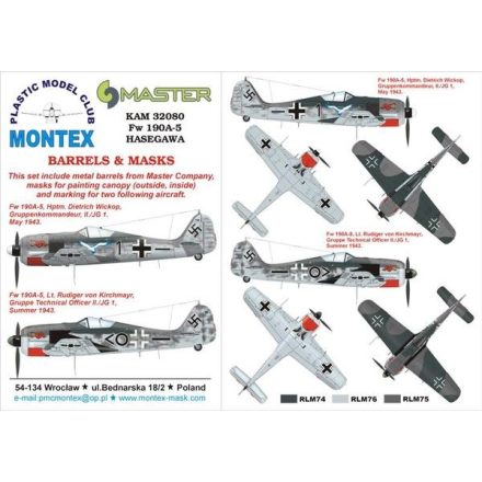 Montex Fw 190A-5 (Hasegawa) maszkoló