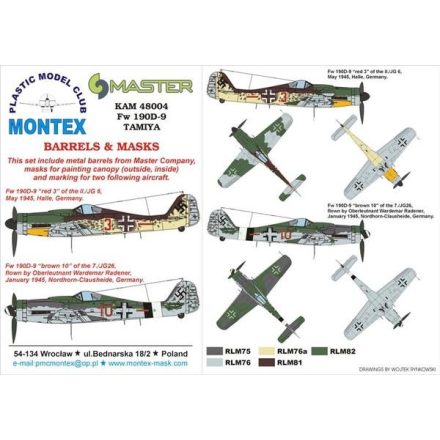 Montex Fw 190 D9 (Tamiya) maszkoló