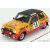 SPARK-MODEL Renault R5 ALPINE N 16 RALLY MONTECARLO 1979 G.FREQUELIN - J.DELAVAL