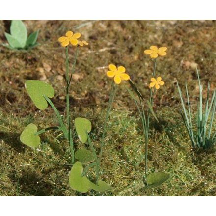 Model Scene Marsh Marigold